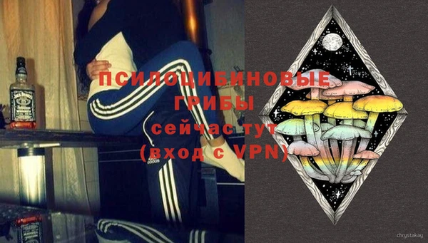 гашик Баксан
