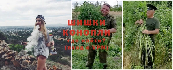 дживик Балахна