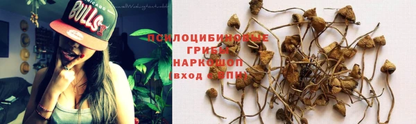 гашик Баксан