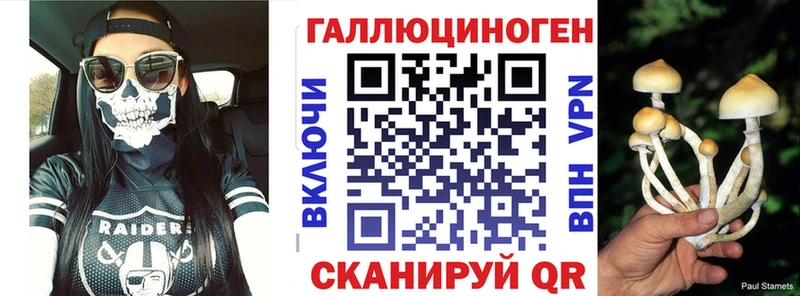 магазин продажи   Златоуст  Галлюциногенные грибы Psilocybine cubensis 
